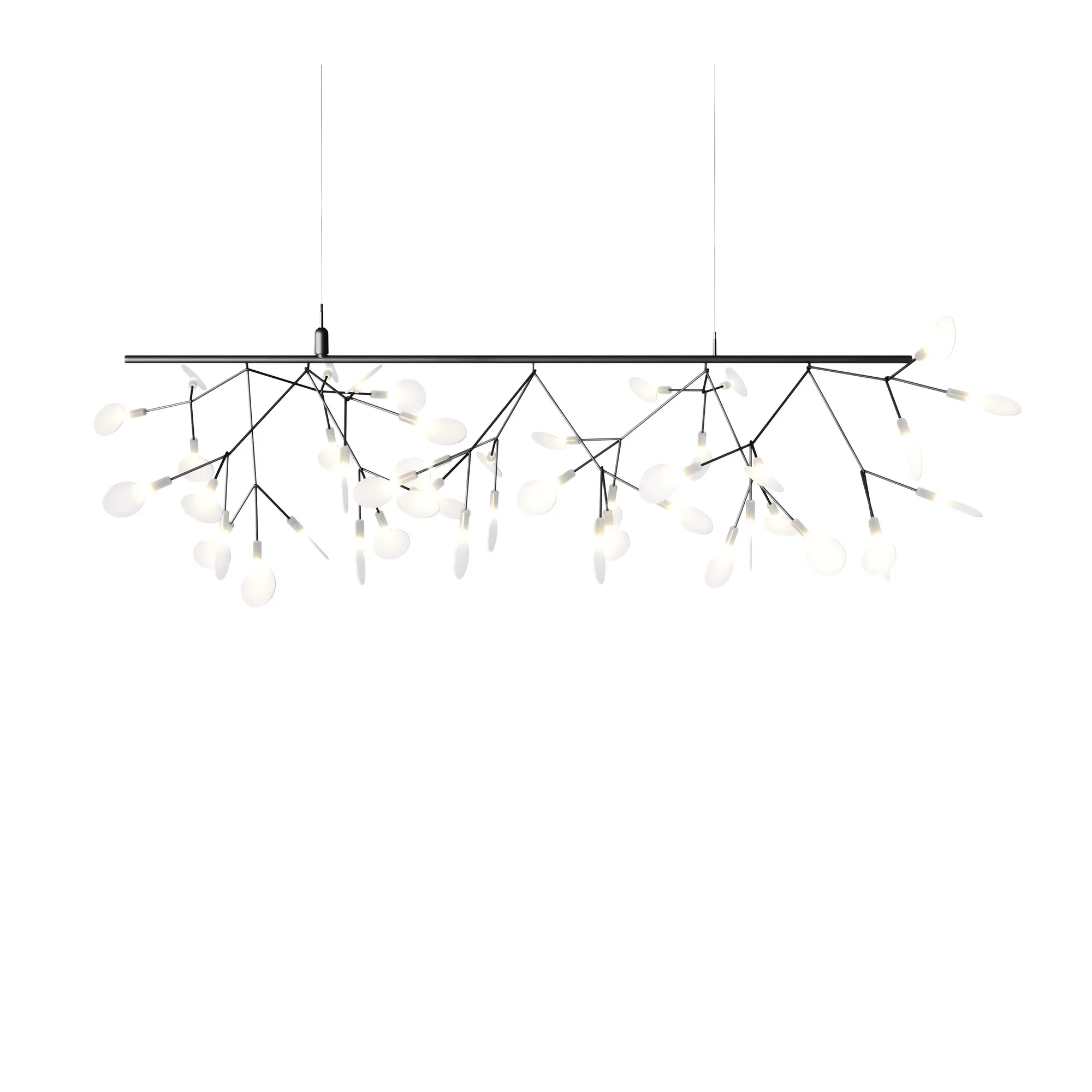 Heracleum III Endless