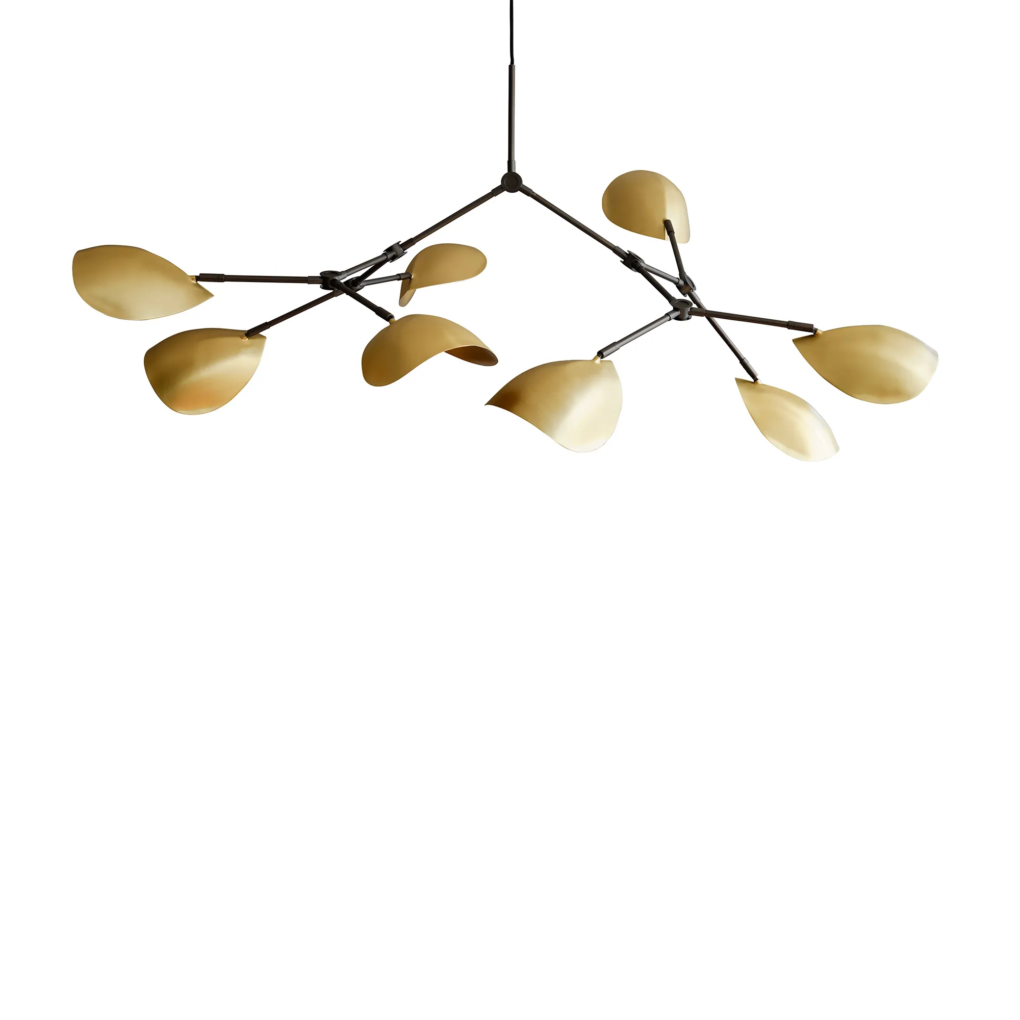 Stingray Chandelier