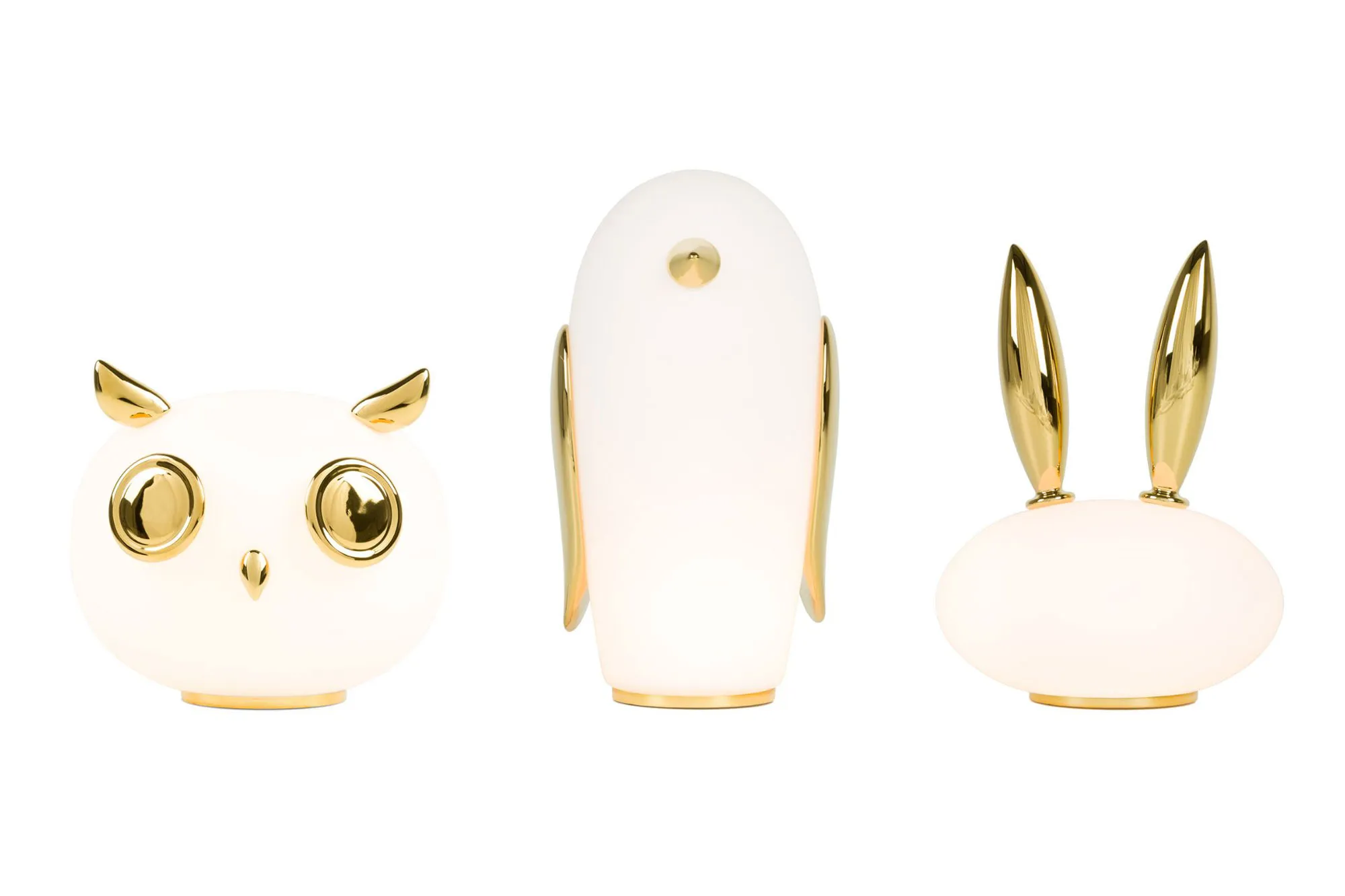 Pet Light